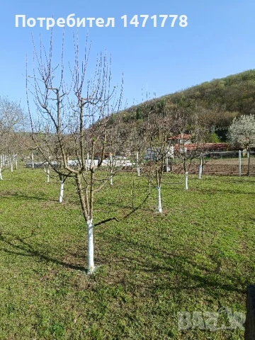  Къща в с.Могилово, снимка 9 - Къщи - 50708859