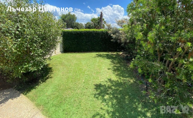 Поддръжка на дворове - Пловдив и региона, снимка 3 - Почистване на домове - 53762581