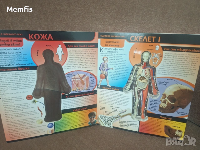 Детска енциклопедия , снимка 2 - Енциклопедии, справочници - 53699194