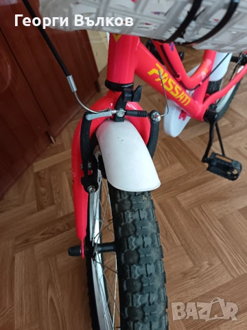 Детски велосипед Passati Bernice 20'', снимка 3 - Велосипеди - 53212008