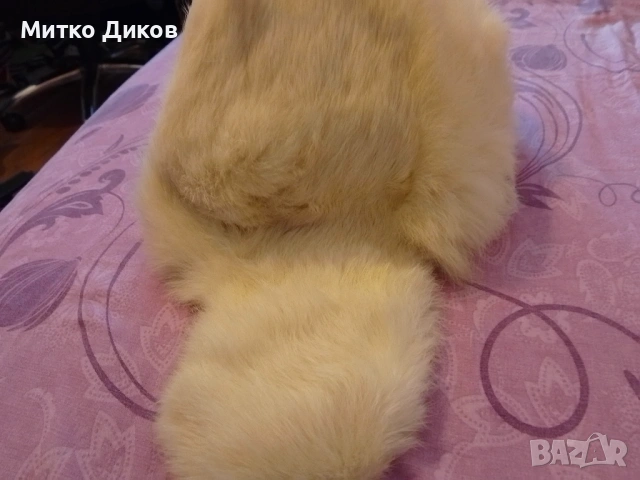 Дамска шапка нова естествена кожа от лисица ушанка #57, снимка 4 - Шапки - 53903794