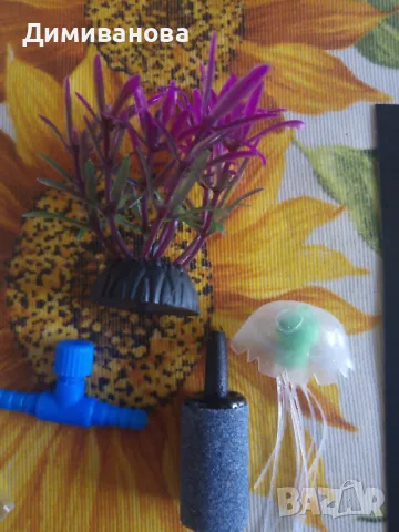 Комплект за аквариум ( термометър, камъче за въздух, водорасло, кранче за въздух), снимка 5 - Оборудване за аквариуми - 49807716