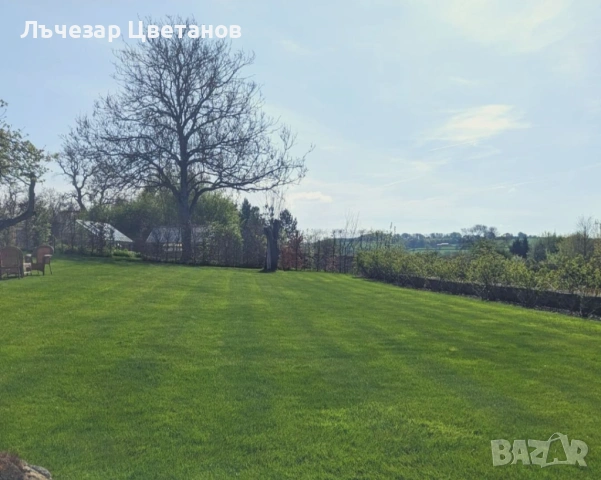 Озеленяване и поддръжка на дворове , снимка 3 - Други почистващи услуги - 53762369