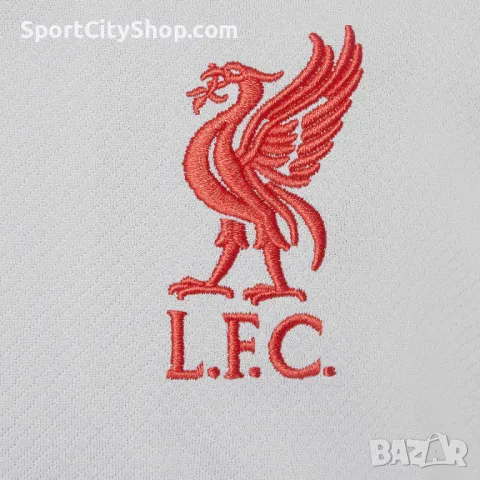 Детска тениска Nike Liverpool F.C. Strike Third FQ2631-078, снимка 3 - Детски тениски и потници - 48114127