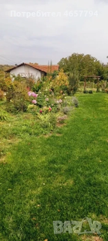 Къща в с. Селци!  , снимка 6 - Къщи - 52636716