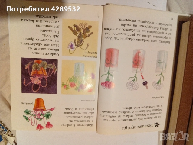 Larousse Моята първа енциклопедия. Растенията., снимка 5 - Детски книжки - 53433787