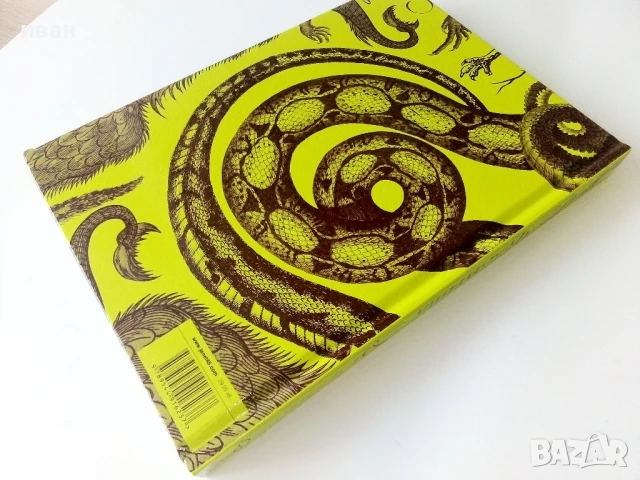 Чудовища - Галерия от страхотии и чудатости - Кристофър Дел - 2010г., снимка 5 - Детски книжки - 50697573