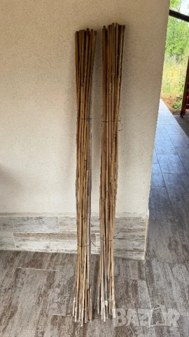 Колове за домати