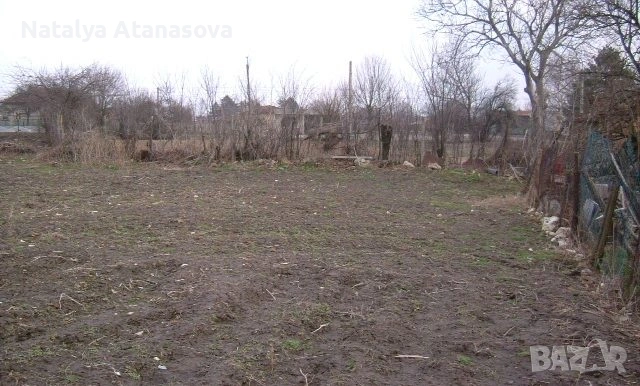 Парцел за продажба в Полковник Минково, Добрич, снимка 5 - Парцели - 53634741