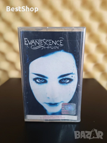 Evanescence - Fallen