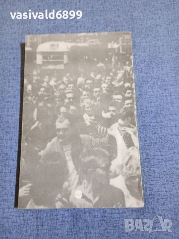 Лидия Николова - Алпийски отблясъци , снимка 3 - Българска литература - 45262261