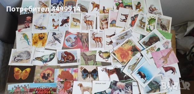 Календарчета -82 броя от 1983 до 1986 година