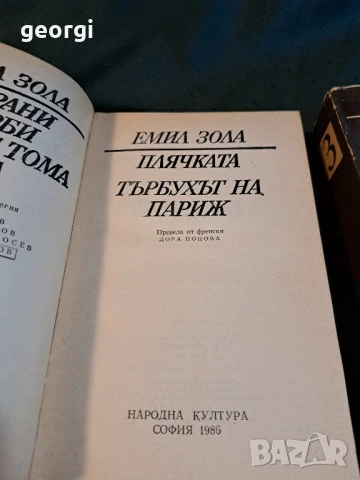 Емил Зола 6 тома избрани творби 27/2, снимка 4 - Художествена литература - 51425062