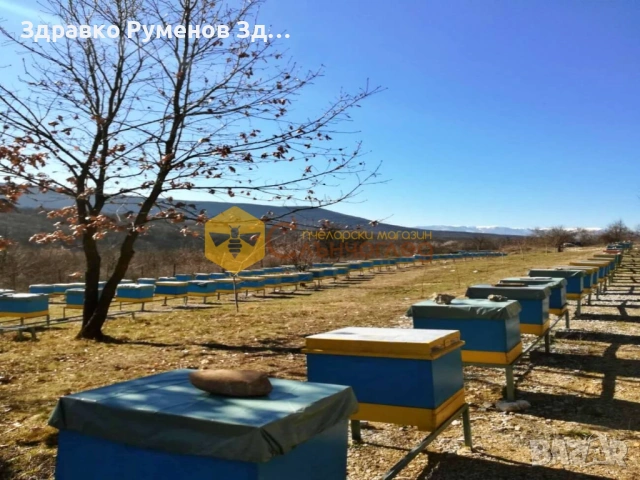 Пчелни отвотки ДБ и ЛР, снимка 2 - За пчели - 53334405