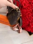 Чанта Louis Vuitton/IM24n, снимка 7