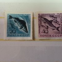 СССР Фауна Риби 1960 г., снимка 1 - Филателия - 46205837