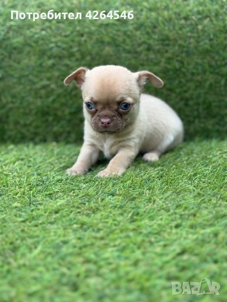 Момиче , снимка 1