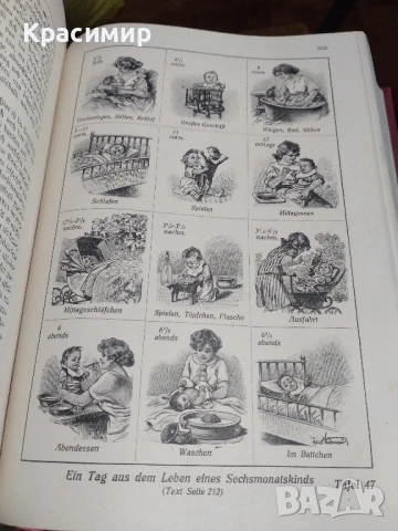 Семеен Лекар .1926 г.д-р мед.Бела Мюлер., снимка 15 - Антикварни и старинни предмети - 51139029