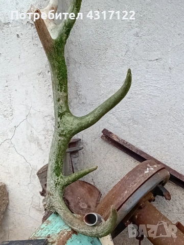 Рог рог рог