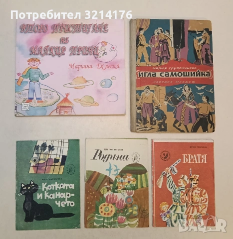 Второ пристигане на Малкия принц - Мариана Еклесия (2009)