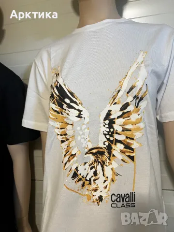 Cavalli оригинална тениска, снимка 3 - Тениски - 48548286