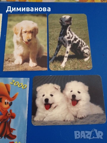 11 малки календарчета от 2000 г., снимка 3 - Колекции - 51301650