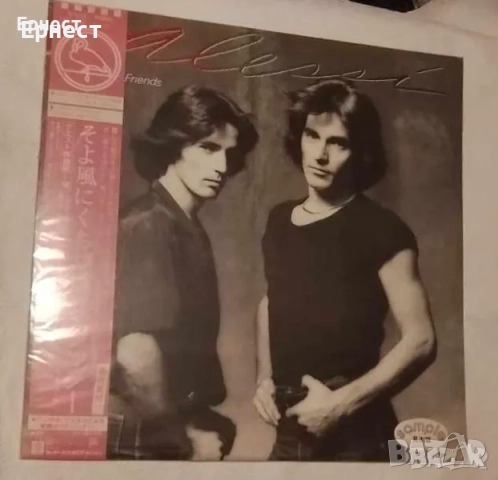 Грамофонни плочи мелодик рок AOR, снимка 13 - Грамофонни плочи - 32745160