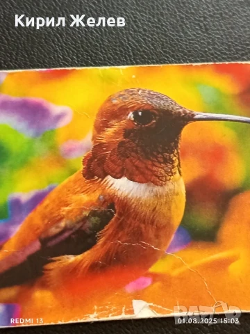 Старо календарче 07г. серия ПТИЦИ за КОЛЕКЦИЯ ДЕКОРАЦИЯ 36948, снимка 2 - Колекции - 51217440