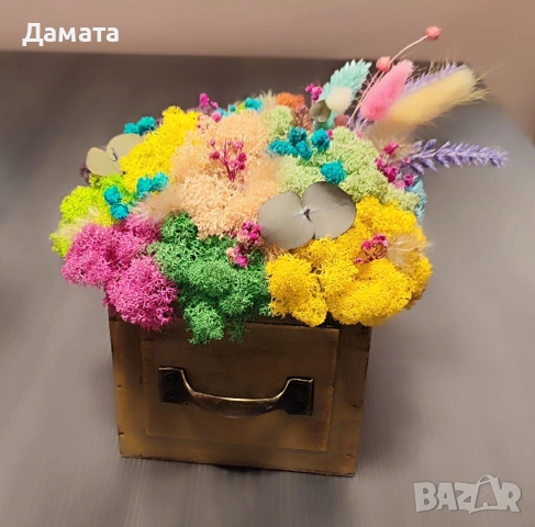 Различни видове кашпи със скандинавски мъх 