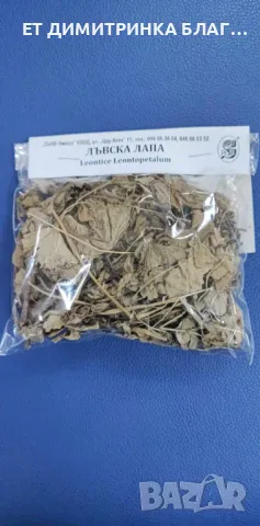 Лъвска лапа 