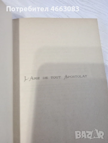 СТАРА БИБЛИЯ , снимка 5 - Антикварни и старинни предмети - 53031478