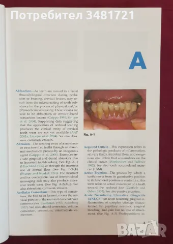 Енциклопедия на пародонтологията / Concise Encyclopedia of Periodontology, снимка 2 - Специализирана литература - 47018253