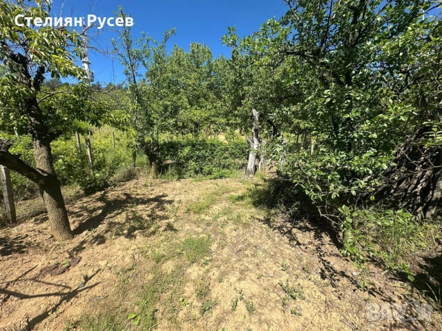 991 кв лозе / ГРАДИНА / терен / парцел / в гр. Силистра под крепостта - от Черно и Бяло нагоре собст, снимка 6 - Парцели - 52029385