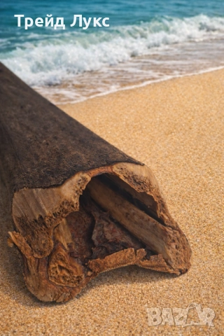 Уникален Подарък от Атлантическият океан, снимка 2 - Колекции - 53079885