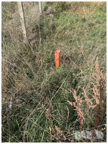 Продава парцел 400 кв.м. във вилна зона на Черноморец, снимка 2 - Парцели - 49402978