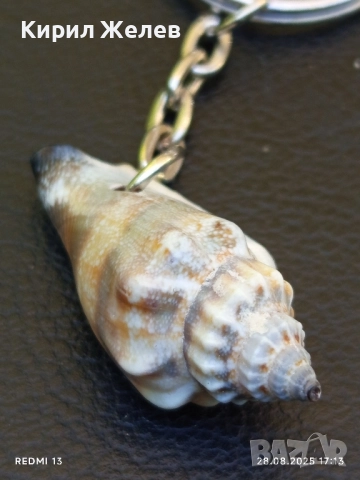 Ключодържател раковина красив спомен от морето 33260, снимка 2 - Други - 51525234