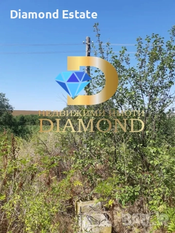 Двуетажна къща в село Свобода, общ. Чирпан, снимка 12 - Къщи - 51917857