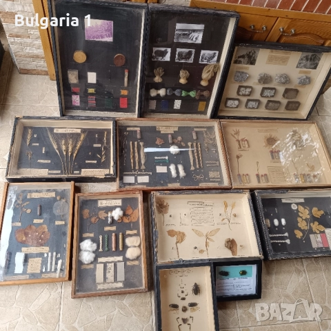 Учебни модели по Биология и География в дървена рамка със стъкло 