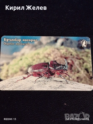 Три фонокарти тема ЖИВОТНИ БРЪМБАР НОСОРОГ,ТРЪНООПАШАТА ПОТАПНИЦА за КОЛЕКЦИОНЕРИ 50869, снимка 4 - Колекции - 51669583