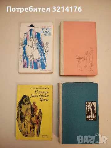 Грехът на абат Муре - Емил Зола