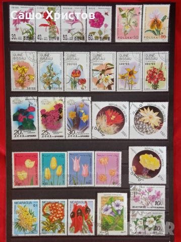 Пощенски марки тема ”Растения”.