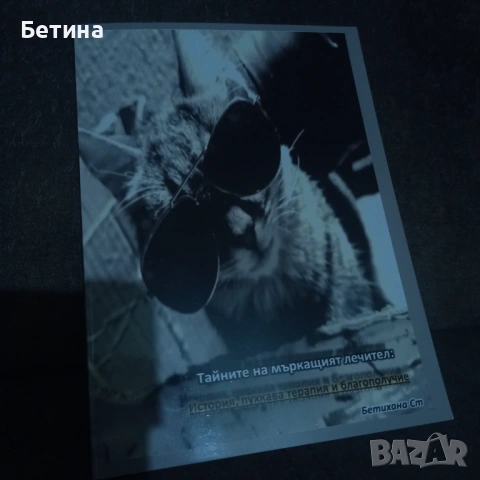 Научна книга - Тайните на мъркащият лечител: История, пухкава терапия и благополучие, снимка 6 - Художествена литература - 53999546