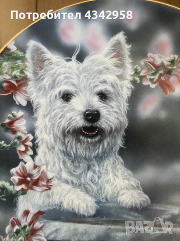 Колекционерска чиния от серия “ Westies “, снимка 2 - Антикварни и старинни предмети - 50811200