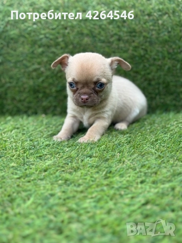 Момиче , снимка 1