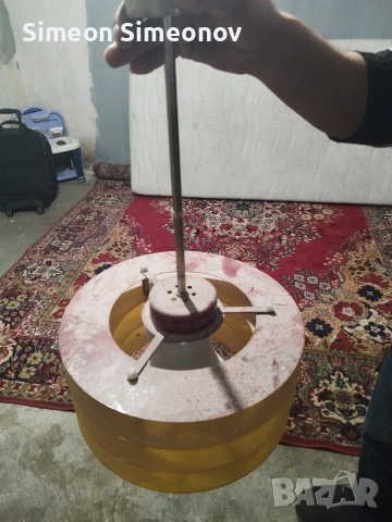 полилеи, снимка 2 - Полилеи - 54166667