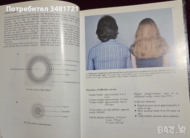 A Colour Atlas of the Hair, Scalp and Nails, снимка 4 - Специализирана литература - 52539726