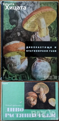 Цветя;Цветарство;Диворастящи и култивирани гъби;Орехоплодни;Камъни,кристали;Билки;Водорасли;Гъби   , снимка 8 - Енциклопедии, справочници - 34246502