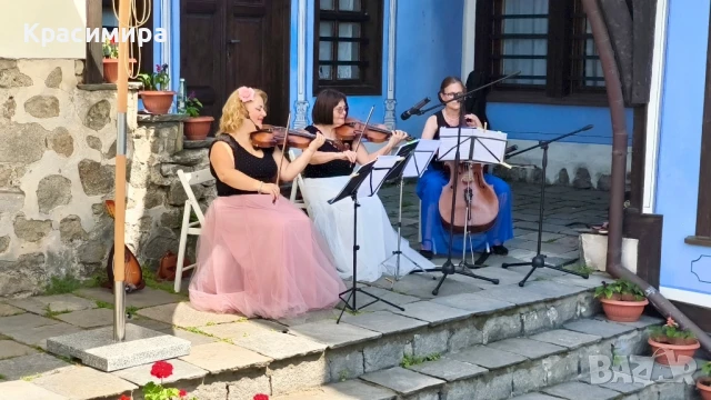 Струнно Трио Амадеус - музика на живо за Вашето изискано тържество , снимка 2 - Dj - 50770768