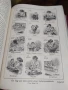 Семеен Лекар .1926 г.д-р мед.Бела Мюлер., снимка 15