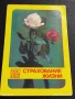 Старо календарче серия ЦВЕТЯ много красиво за КОЛЕКЦИЯ ДЕКОРАЦИЯ 35338, снимка 3